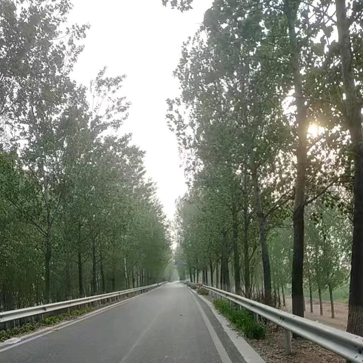 天空蔚蓝