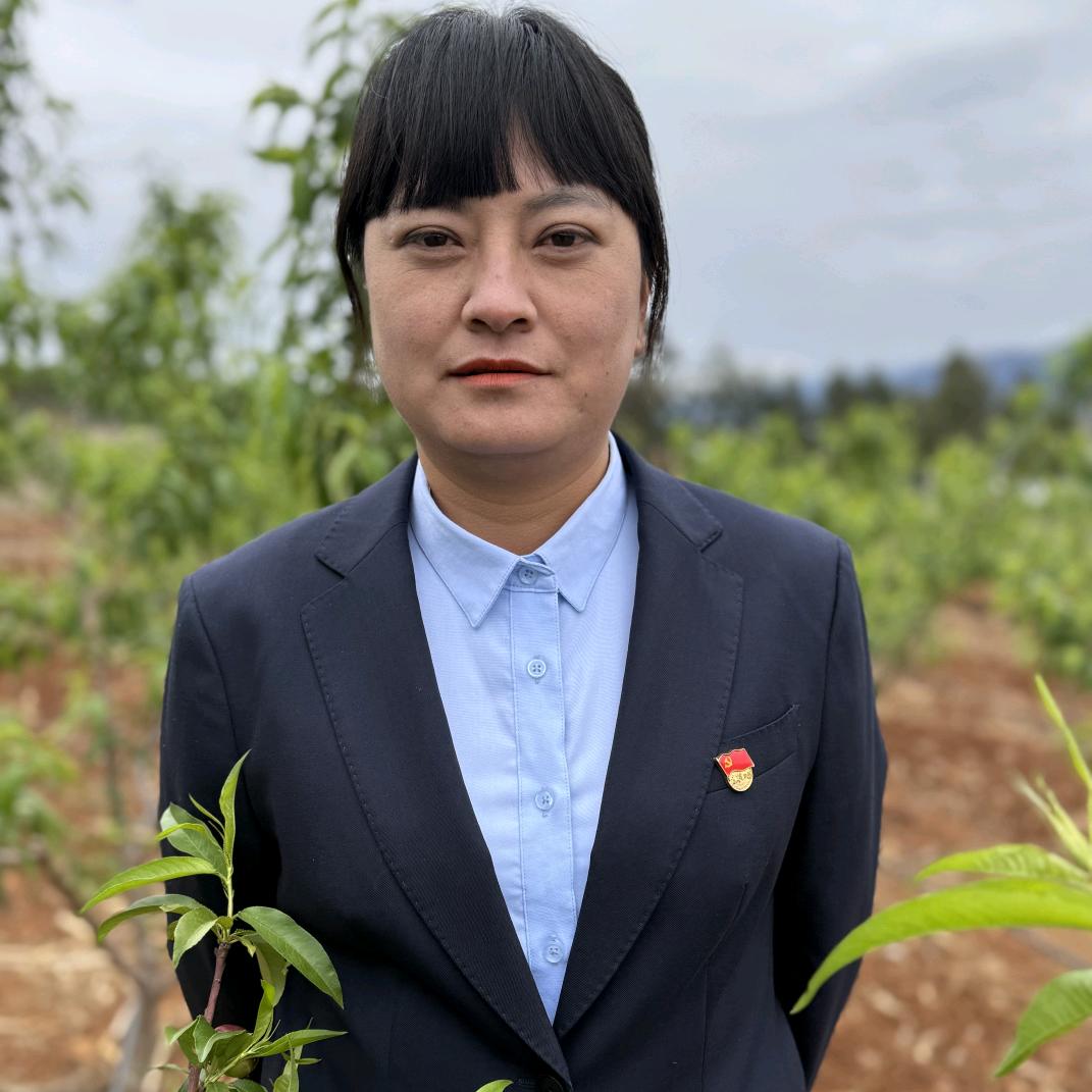 村干部张丽