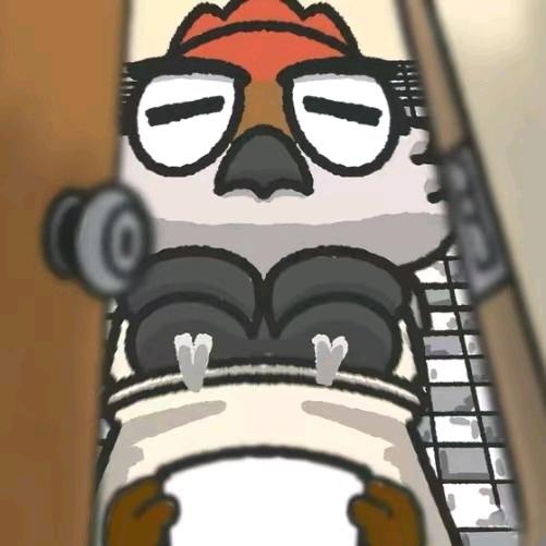 鸡蛋