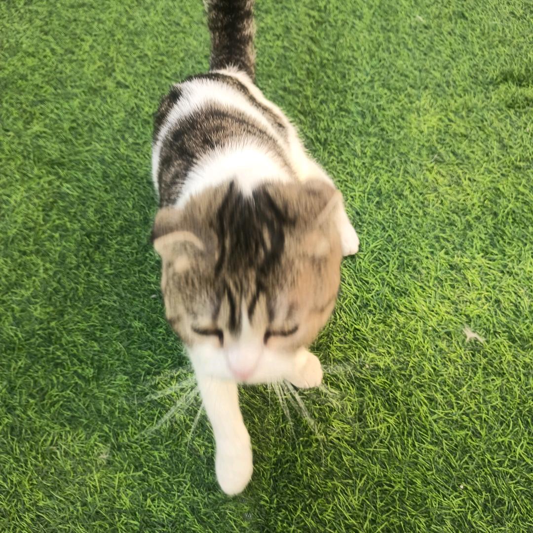 尹斯荣