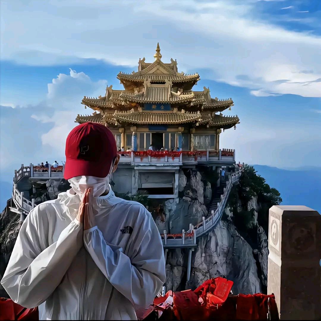 👉杨 子👈