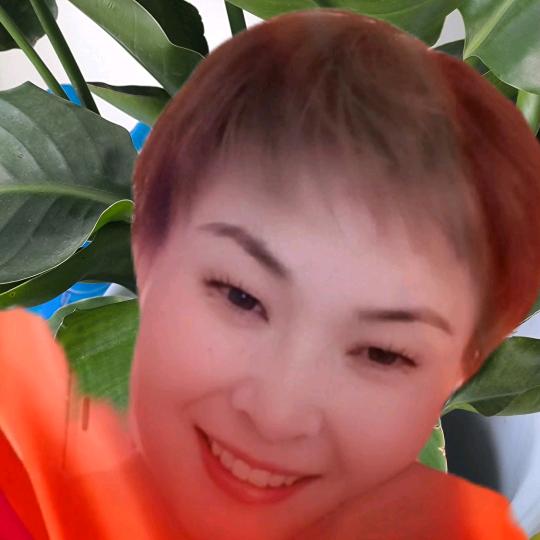 悦悦