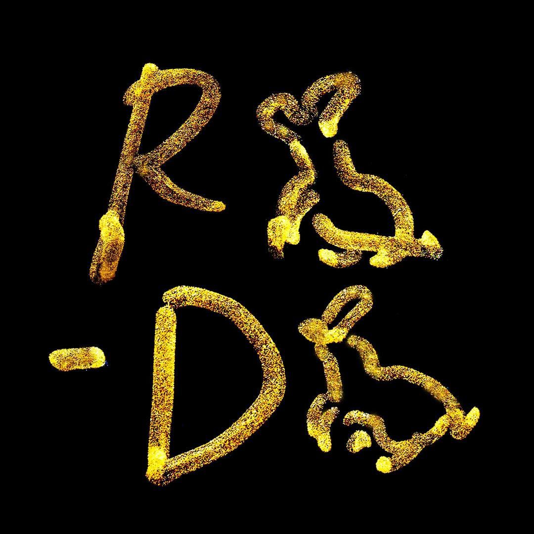 R🐇-D🐇