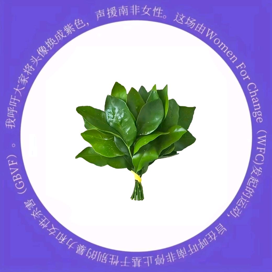 委屈就睡