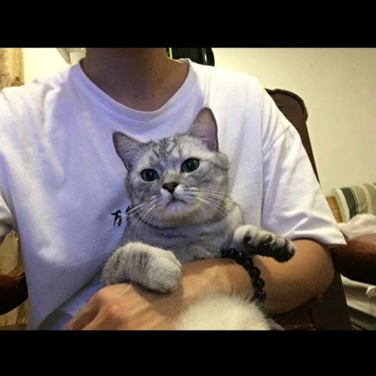 十一呀。