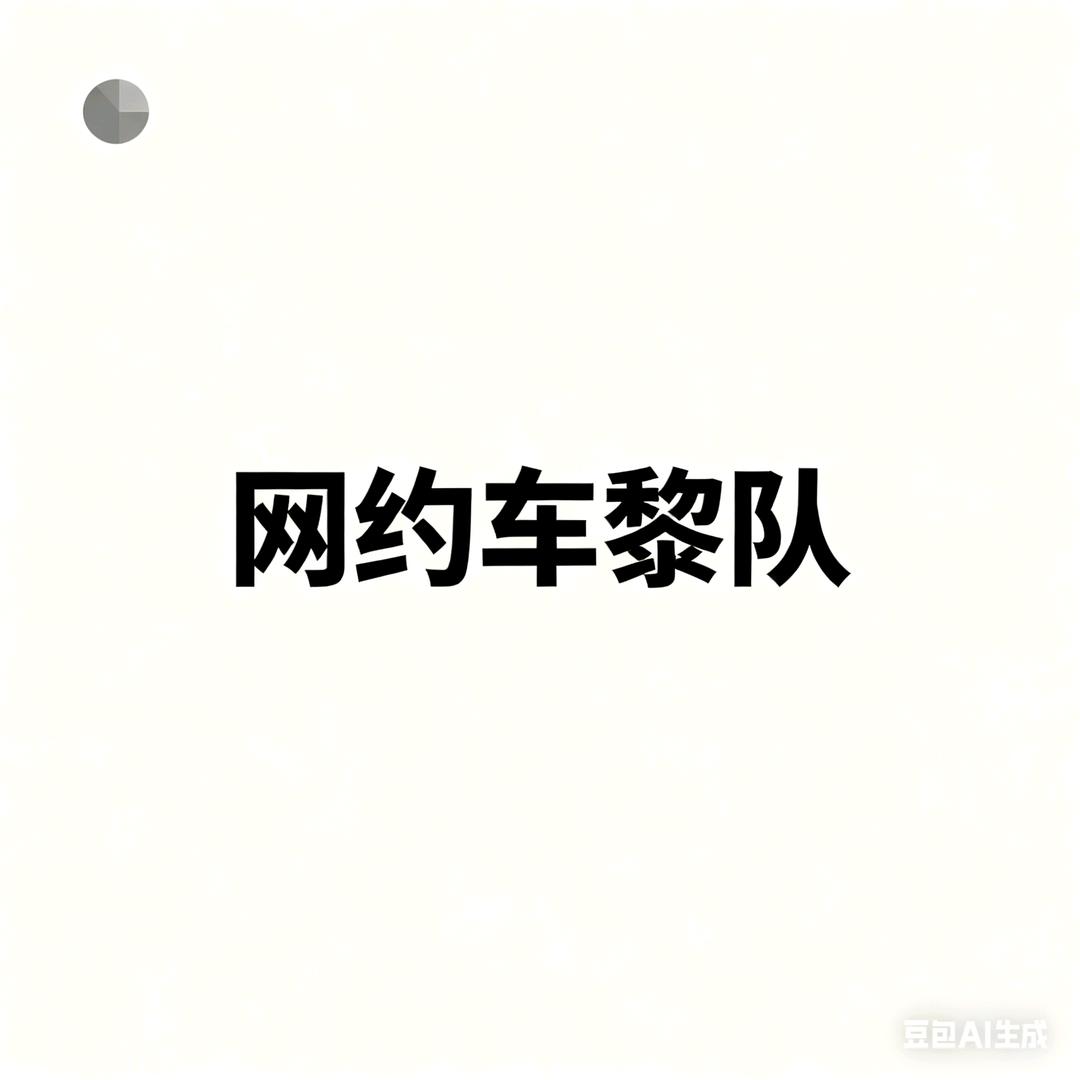 网约车黎队