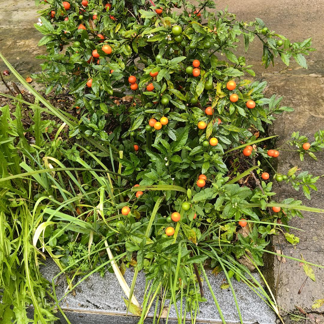 💁🖐忘不了你⏰💍