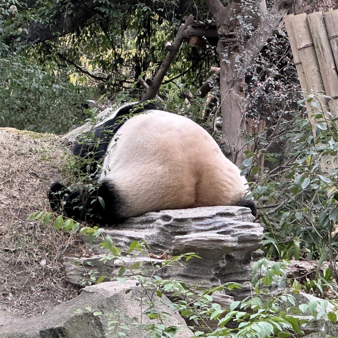 咯咯咯