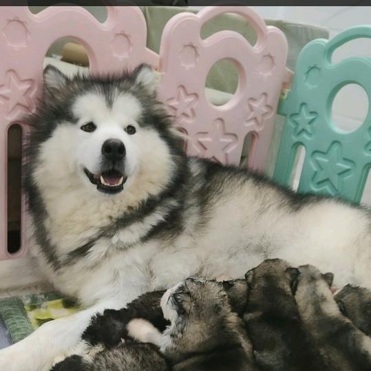 🌈云🐱梦🌈泽