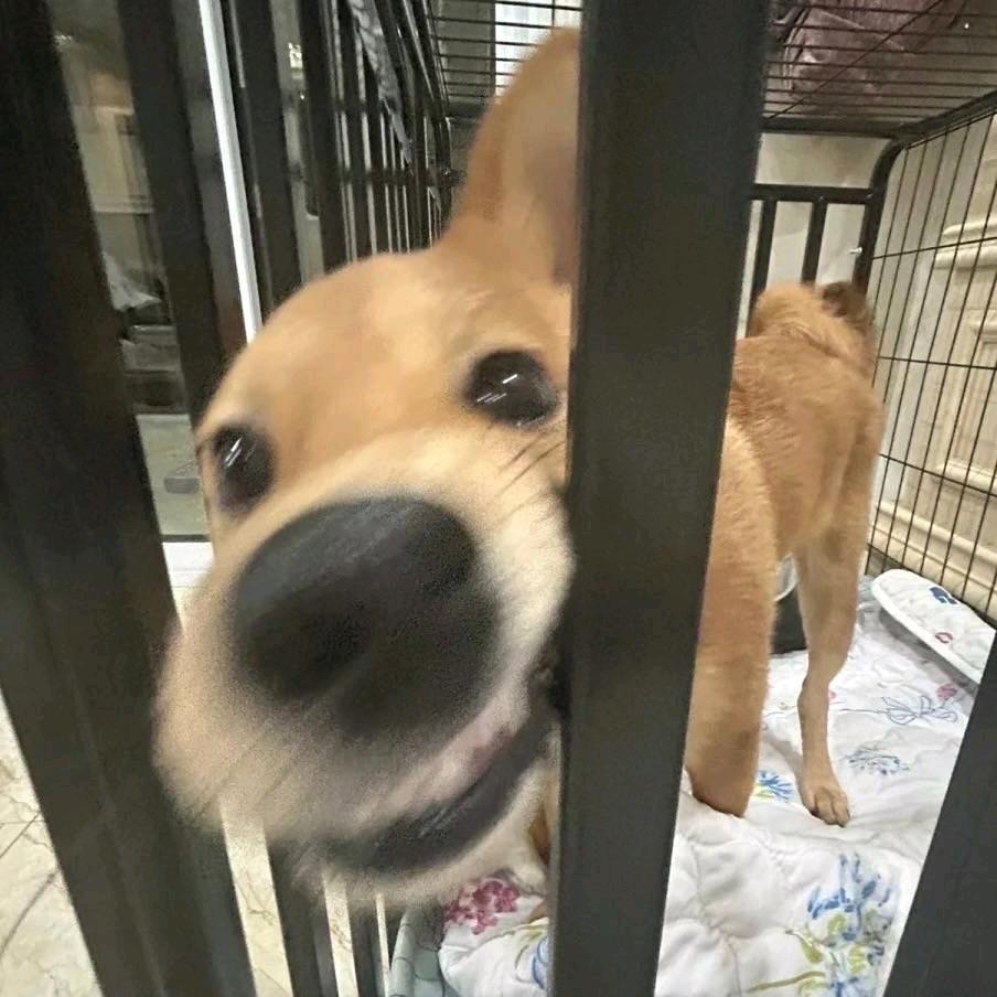 消防🧯小林