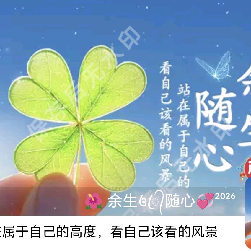 菇孃