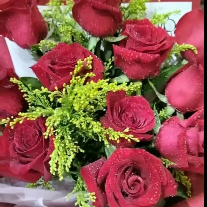 🌹四海为家🌹