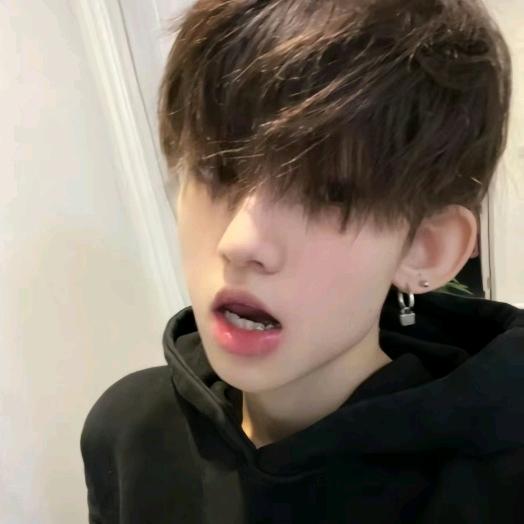 巴黎的刘./