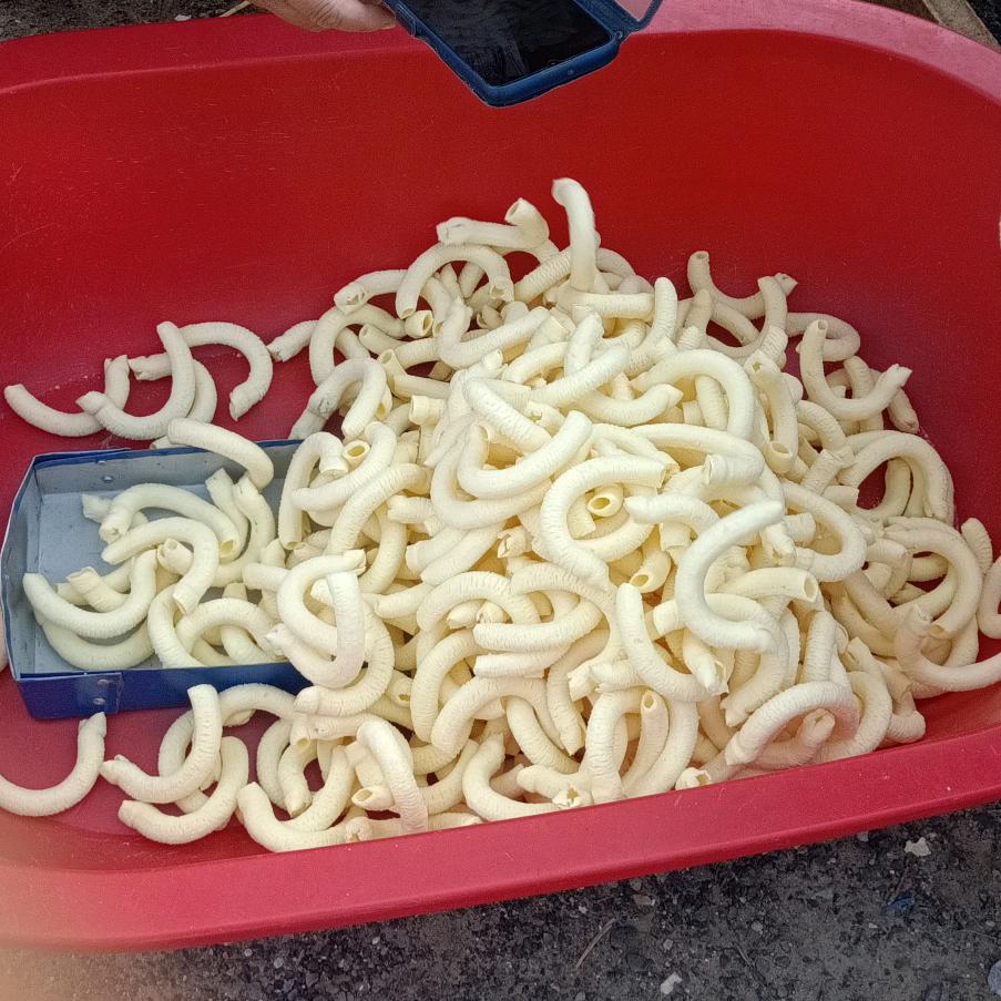 好运来发大财行大运