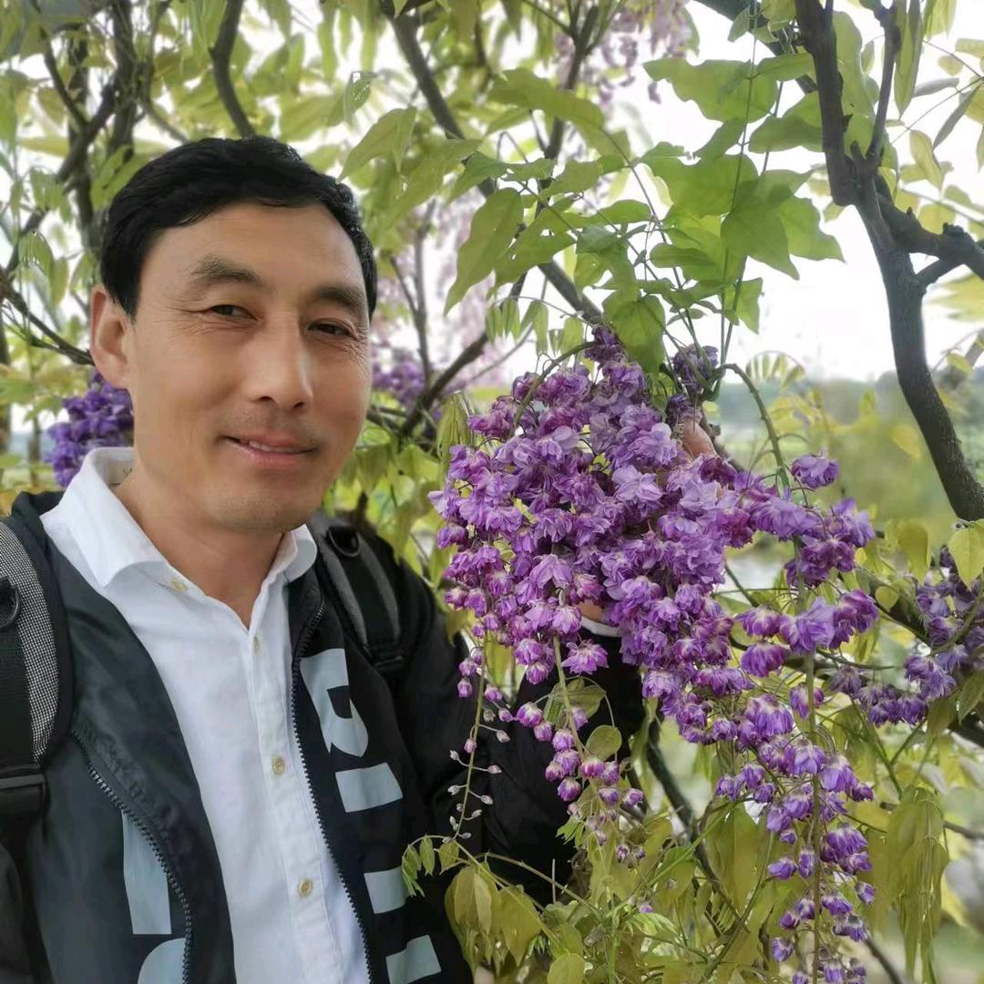春意盎然