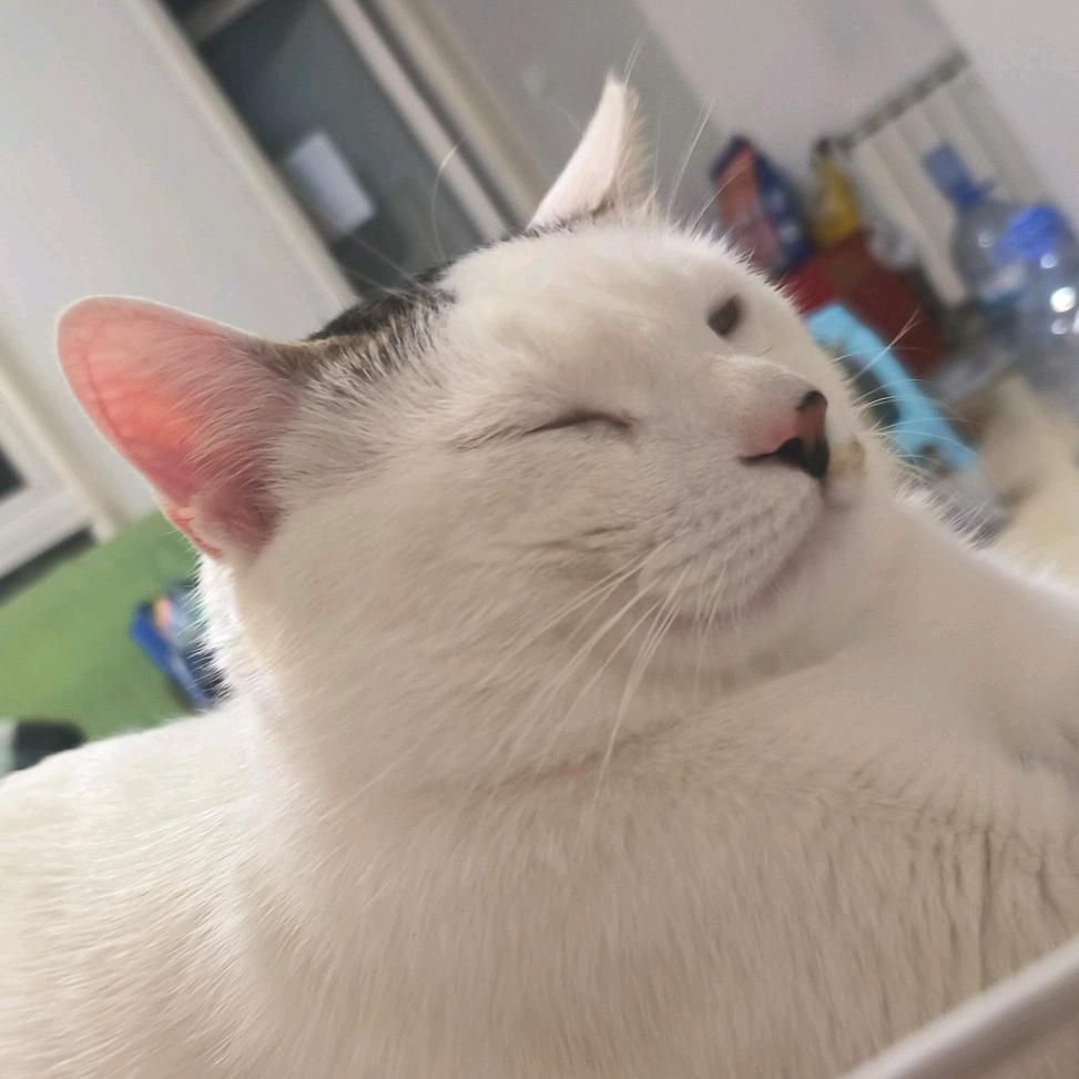 寿险规划师小张