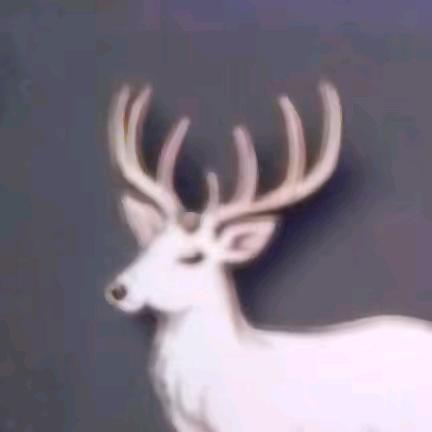 正宗蔚县月饼批发零售