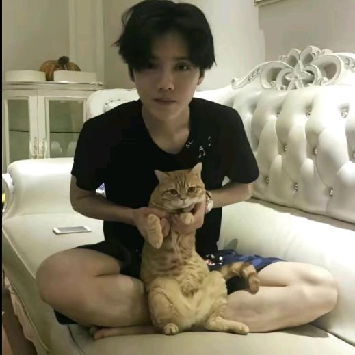 云澈