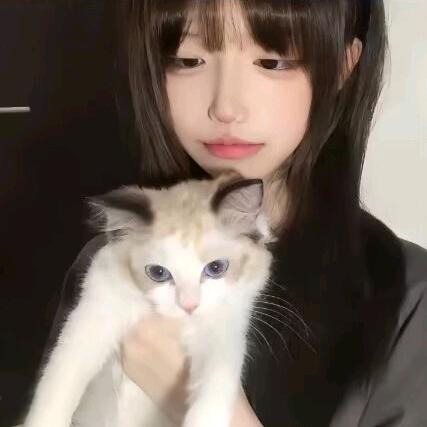 佳慧