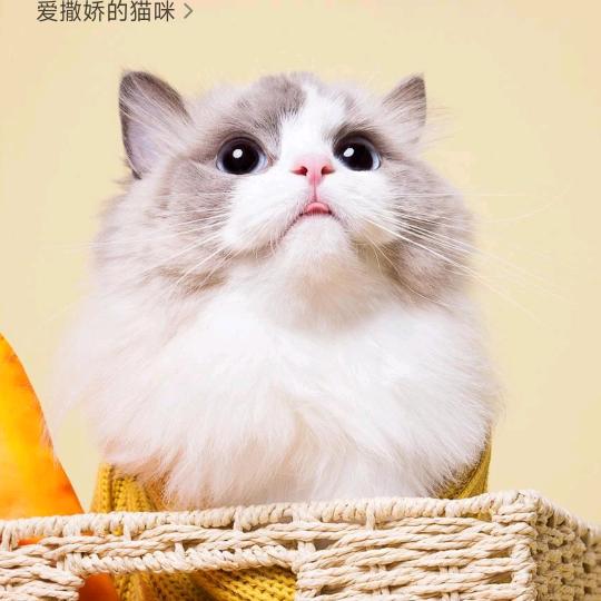 钇成小说