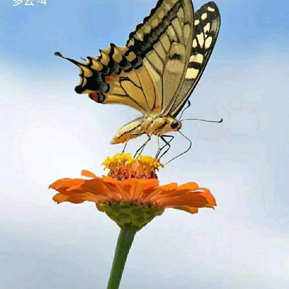 顺其k自然