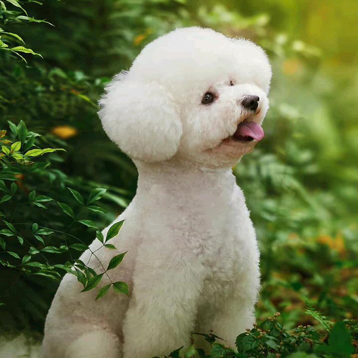 通行无阻