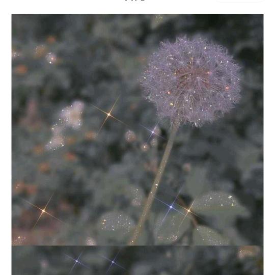 神马都是浮云🍁