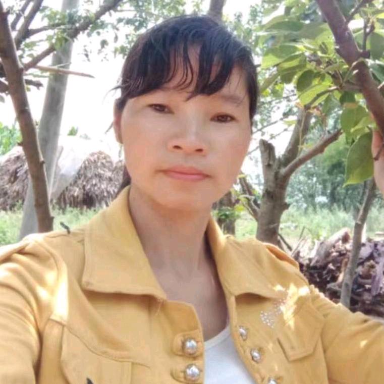 明天会更好🌸sun🌿