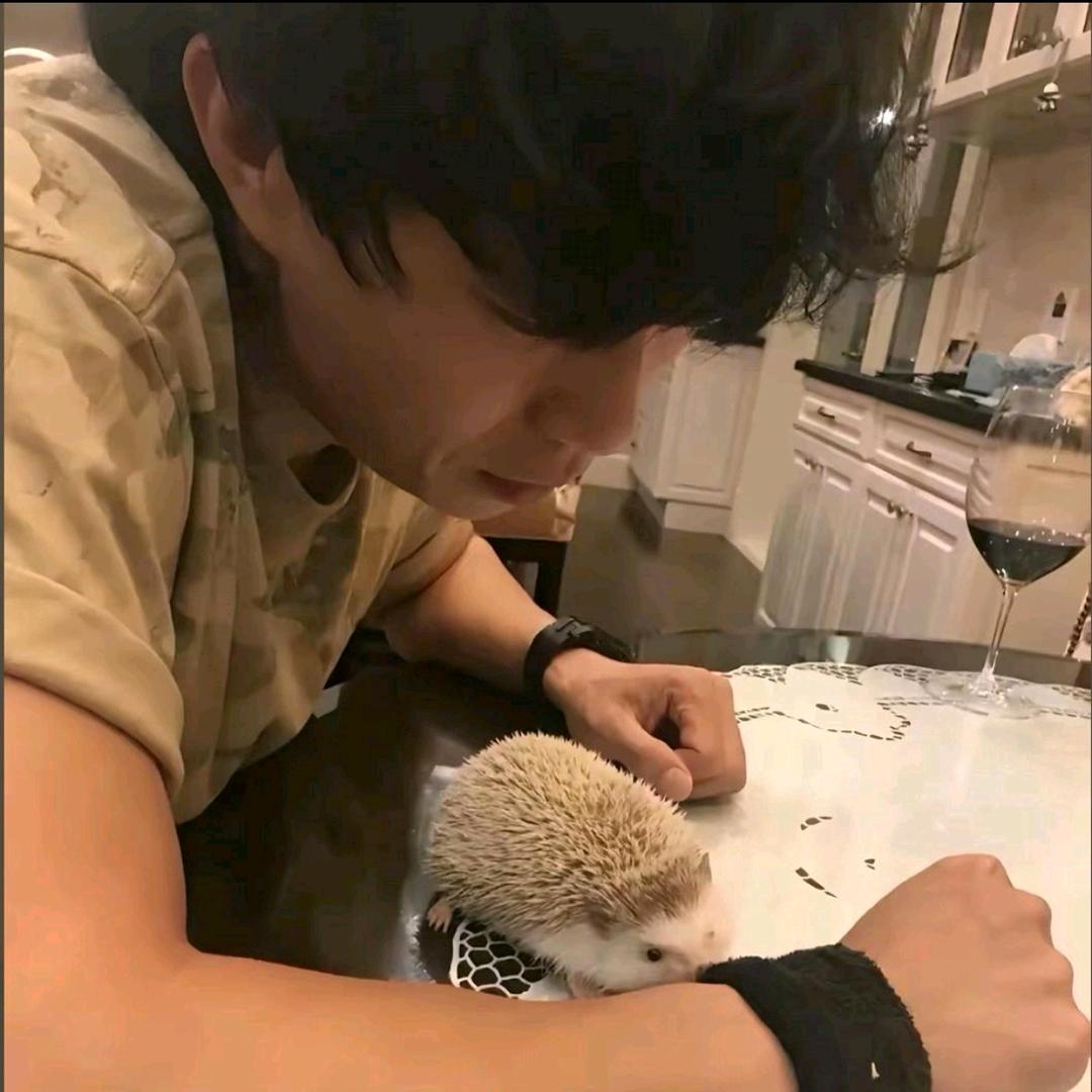 程艾影.