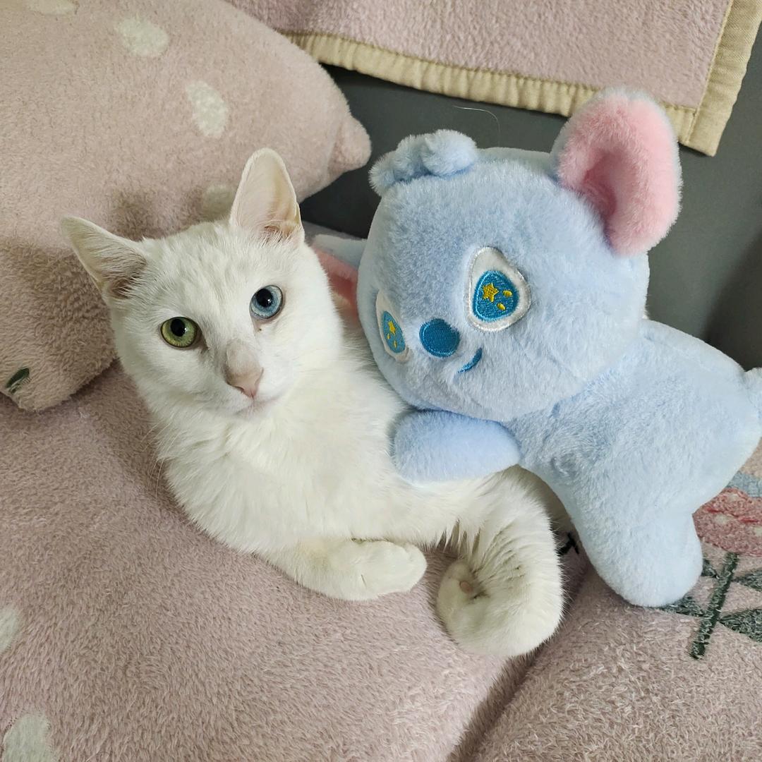 小陈陈