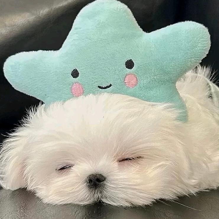 心事全在脸上