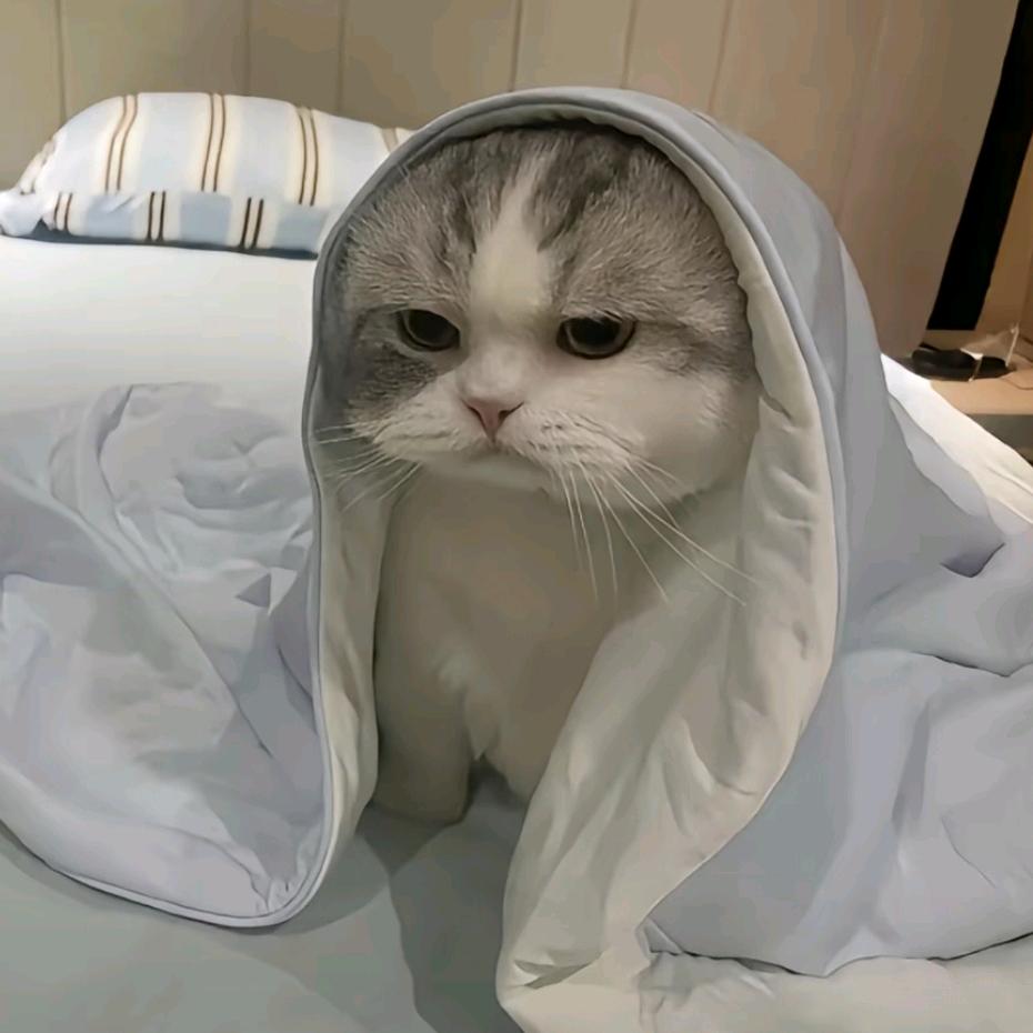 明天见。