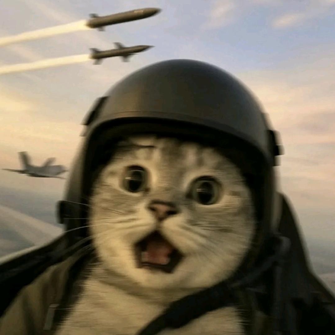 小猫伟业记