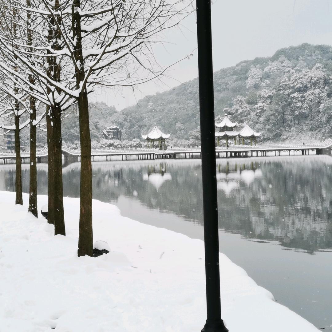 托塔李天汪