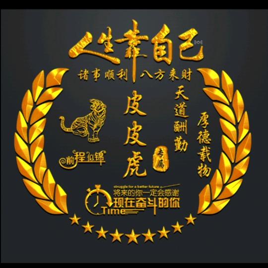 皮皮虎🐯