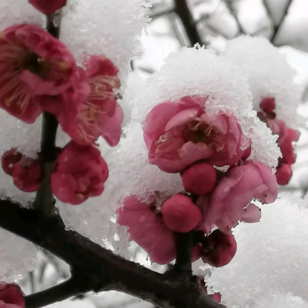 用户5285754991437霞霞