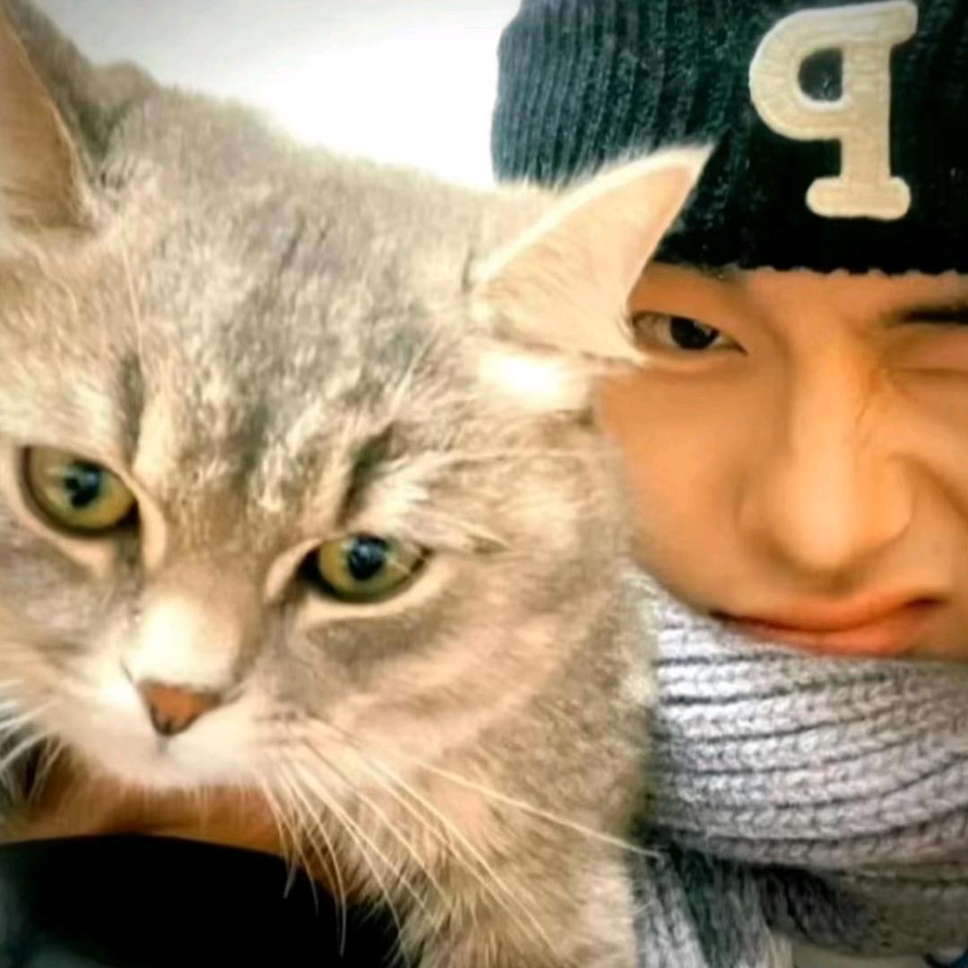 吃土豆长大的马铃薯🥔