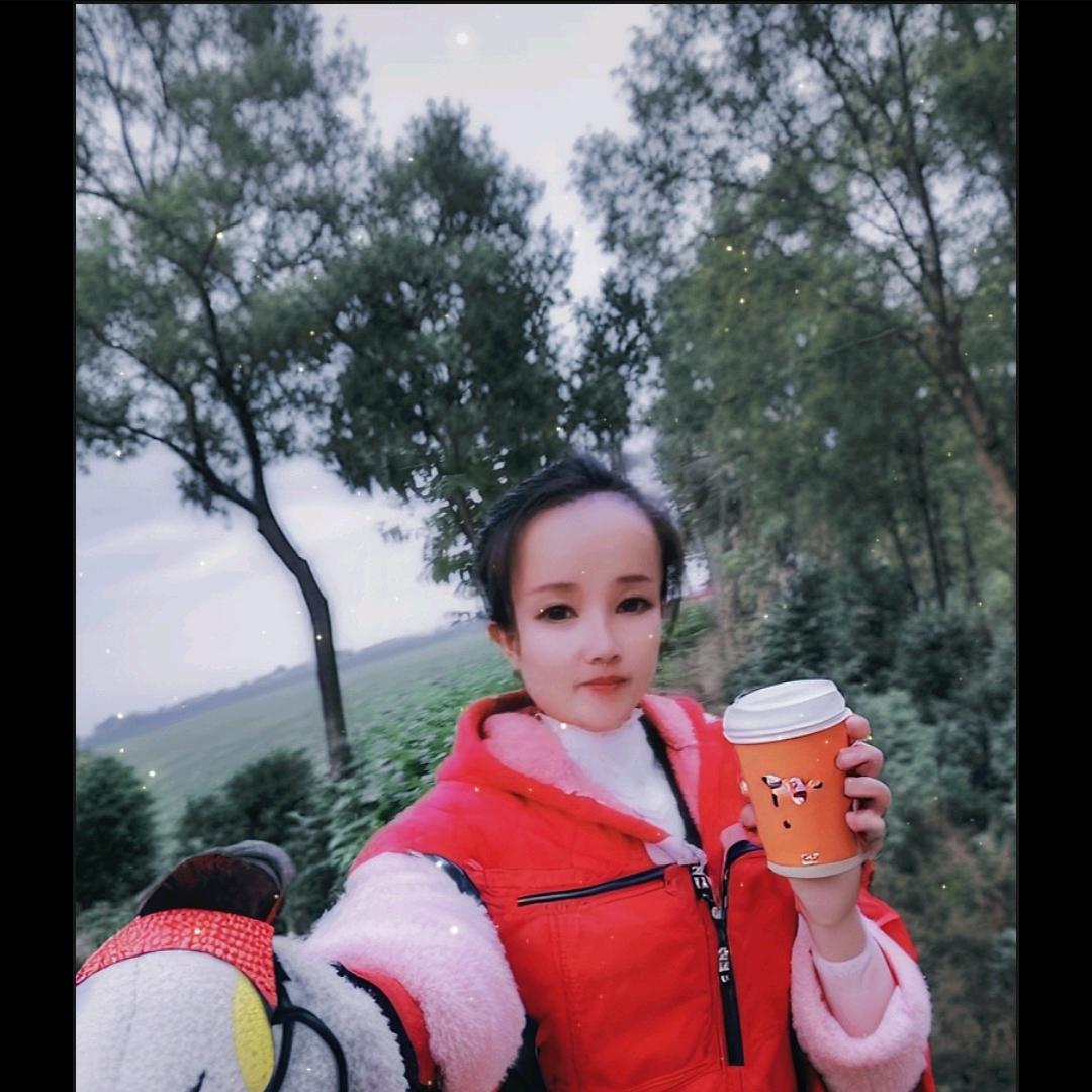 七道口西边，魏庄路南边，养鸡厂