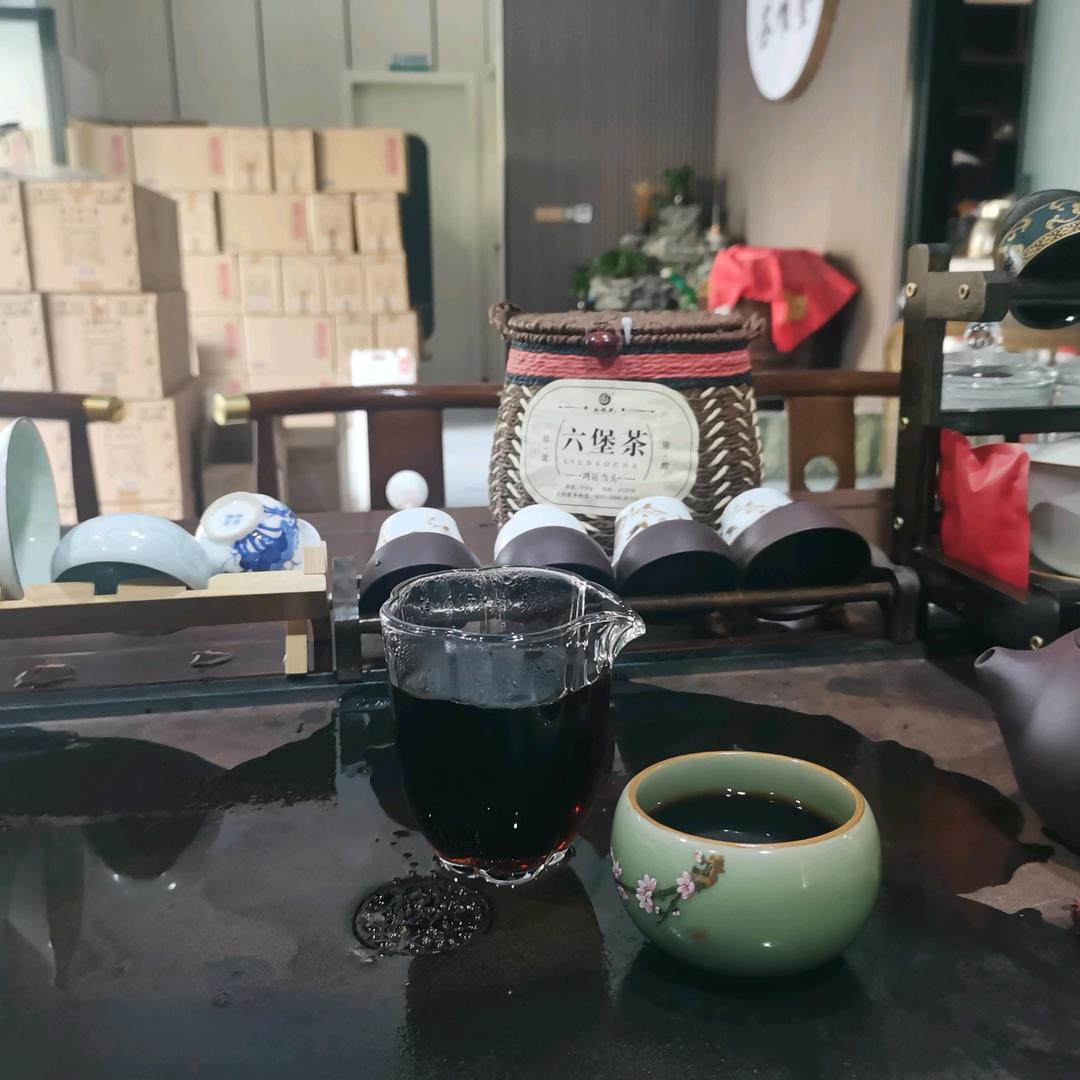 茶言茶语