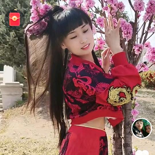 燕子凤舞团