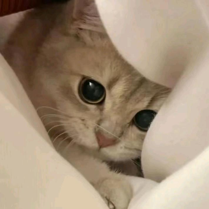 ¹