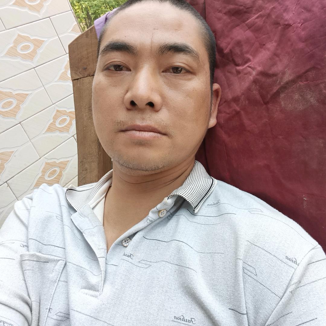 杨再会