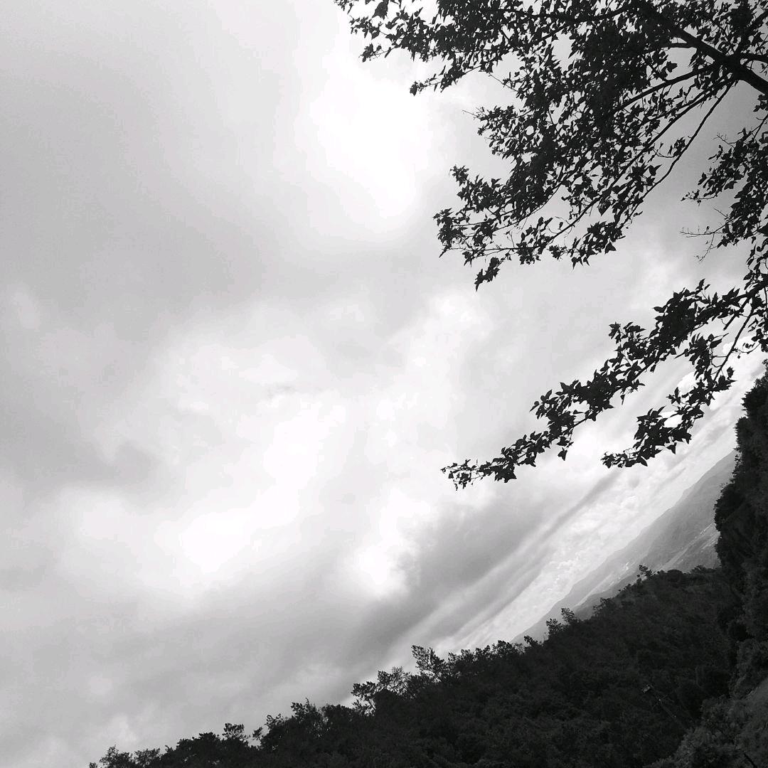 别