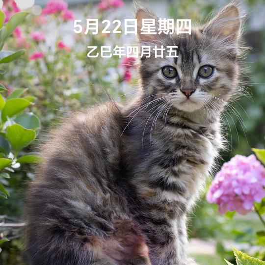 烂漫重生