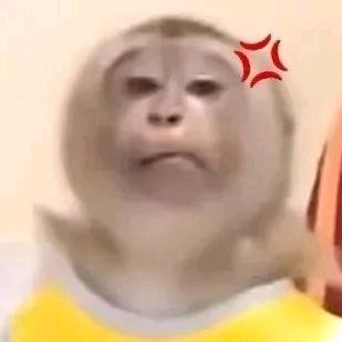 伤心小猫