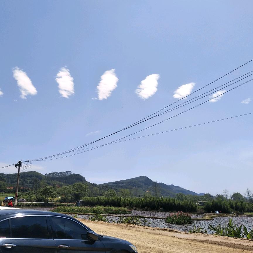 阿青