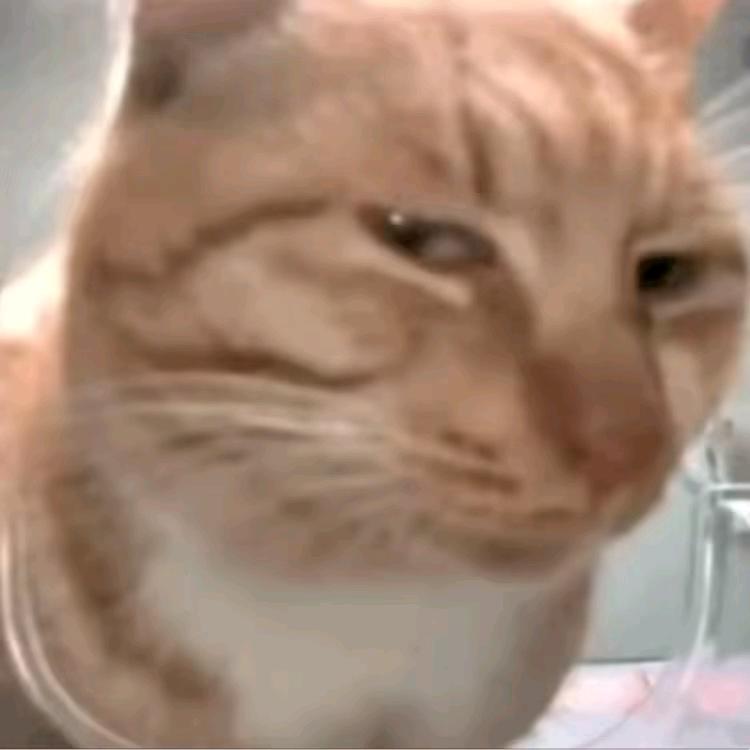 ㍿㌫㍿㌫㍿㍿㌫㍿㍿㌫㍿㍿㍿♛新鲜哥🏍