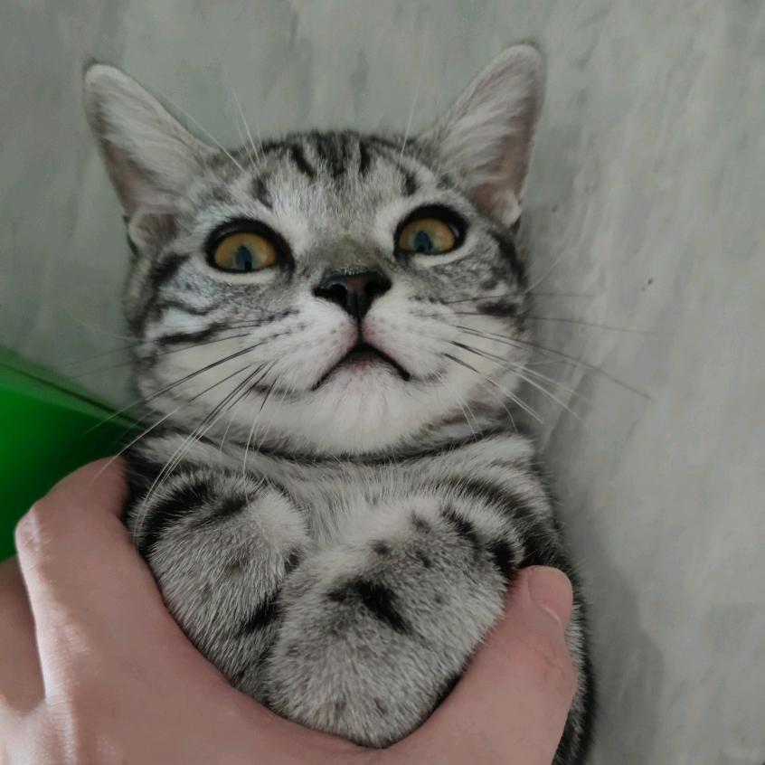 不懂