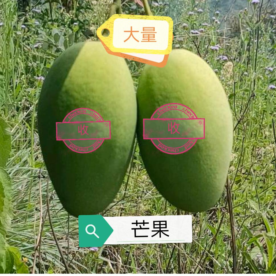 ༃风轻云淡༃
