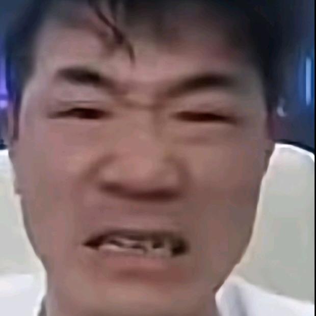 咸鱼爱上猫